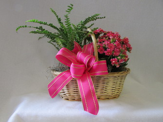 Blooming Basket from Chillicothe Floral, local florist in Chillicothe, OH