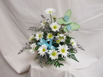 Butterflies and Daisies from Chillicothe Floral, local florist in Chillicothe, OH