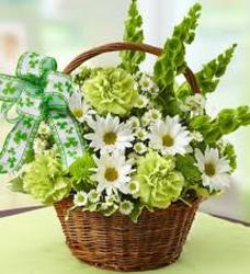 St. Patty's Basket from Chillicothe Floral, local florist in Chillicothe, OH