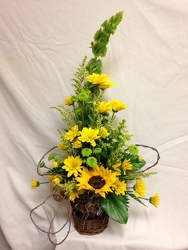 You Are My Sunshine from Chillicothe Floral, local florist in Chillicothe, OH