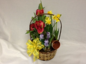 Mixed Spring Bulb Basket from Chillicothe Floral, local florist in Chillicothe, OH