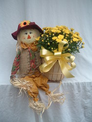 Scarecrow  Moe from Chillicothe Floral, local florist in Chillicothe, OH