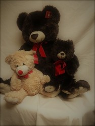 Plush Teddy Bears from Chillicothe Floral, local florist in Chillicothe, OH