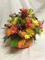 Pumpkin Patch from Chillicothe Floral, local florist in Chillicothe, OH